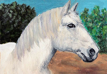 Fine Art Pet Portrait by Artist Donna Aldrich-Fontaine - White Horse.jpg